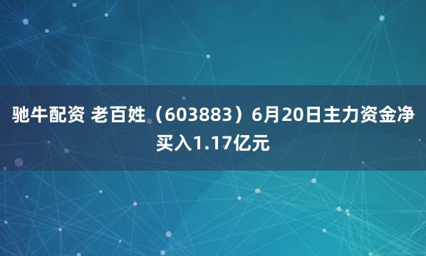 驰牛配资 老百姓（603883）6月20日主力资金净买入1.17亿元