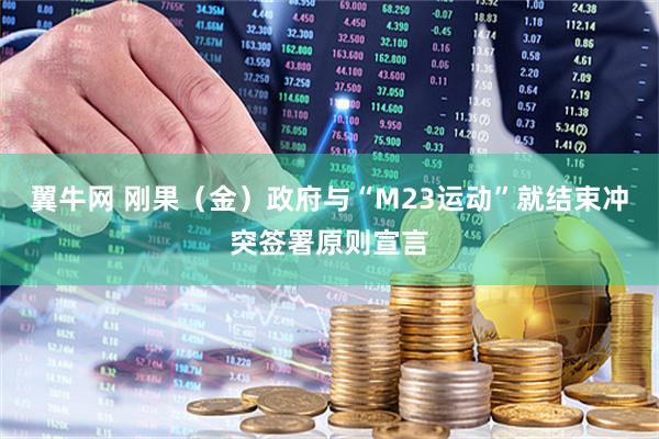 翼牛网 刚果（金）政府与“M23运动”就结束冲突签署原则宣言